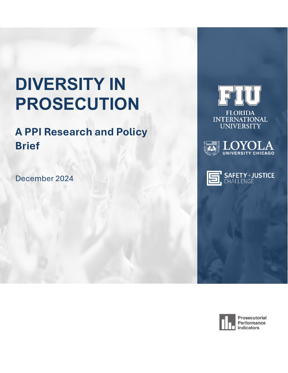 Diversity in Prosecution Report